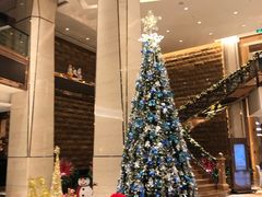 -西安赛瑞喜来登大酒店