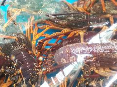 -万宝海鲜舫(劳动公园店)