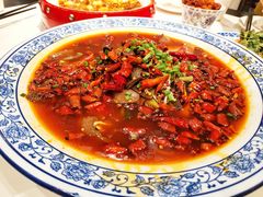 -院8里·少城记忆老川菜(宽窄巷子店)