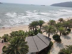 -广东惠东海龟国家级自然保护区