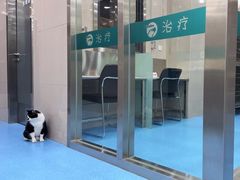 -万博宠物医院·手术·诊疗(未央凤城五路店)