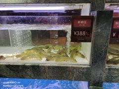 -徐记海鲜(阿波罗店)