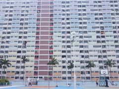 -彩虹村