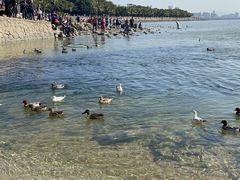 -深圳湾公园(南山区)