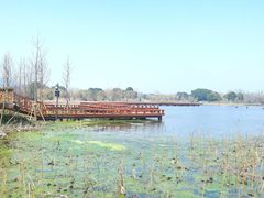 -长兴太湖图影湿地文化园