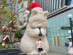 -首开·龙湖成都西宸天街