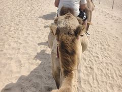 -库伦旗银沙湾旅游景区