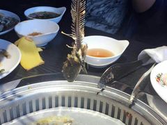 -欢乐牧场(T12店)