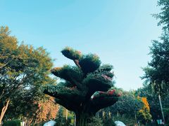 -广州雕塑公园