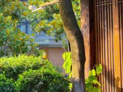 -大妙火锅·非物质文化遗产(东湖公园店)