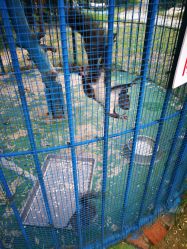 -萌宠亲子动物乐园(槐房万达店)