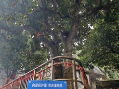 -良溪古村