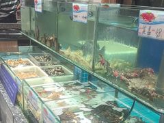 -渔码头食府·20年蓬莱老字号(登州路店)