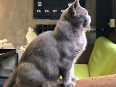 -IN COFFEE LAB 隐咖啡