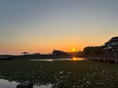 -新木器时代餐厅(太湖新天地店)