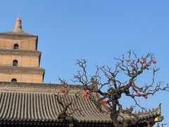 -大慈恩寺(大雁塔)