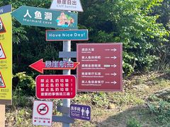 -杨梅坑