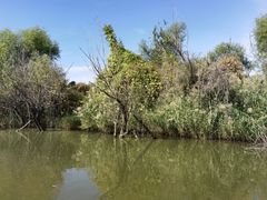 -处女泉风景名胜区