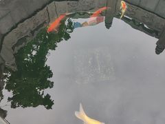 -西安市广仁寺