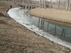 -东郊湿地公园