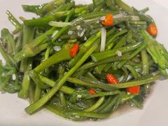 清炒水性杨花-紫滇源云南生态菜(丹凤街店)