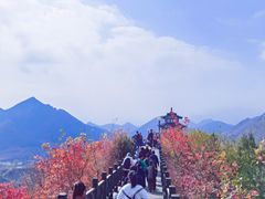 -狼牙山风景区