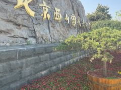 -北京西山国家森林公园