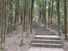-深圳仙湖植物园