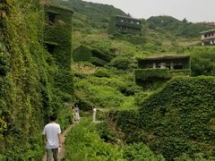 -枸杞岛