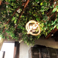 -V-STAR威斯达•高级私人定制