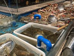 -一方渔歌蒸汽海鲜自助(文化路万达广场店)