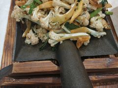 -邵年鸽(杨庄店)