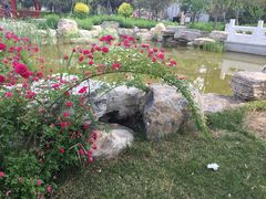 -武清南湖绿博园