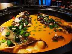 -千岛湖小鱼儿·淳安匠心农家菜