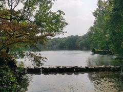 -紫霞湖公园