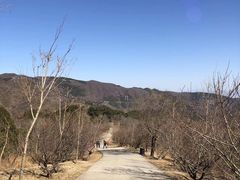 -北京西山国家森林公园