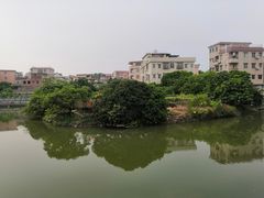 -长洲岛