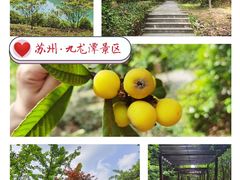 -九龙潭景区
