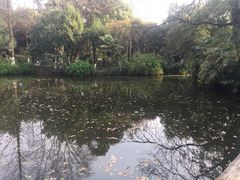 -红梅公园