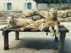 -南京金牛湖风景区