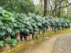 -景德镇古窑民俗博览区