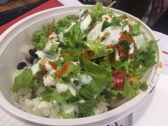 -油梨树 AVOCADO TREE(亮马桥店)