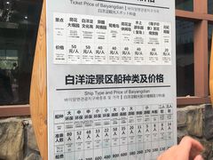-白洋淀景区