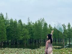 -白鹭湾湿地公园