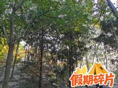 -南翠屏公园