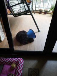 -杉惠素颜美妆皮肤管理中心