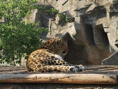 -石家庄市动物园