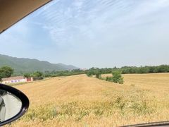 -抱龙峪