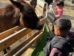 -HERRE·FARM 赫尔露营农场·团建聚会包场