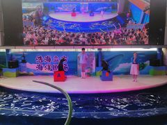 -成都浩海立方海洋公园